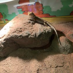 -酷嗒动物文化乐园(cutezoo西溪乐天城店)