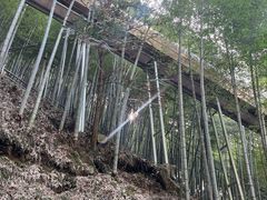 -藏龙百瀑风景区