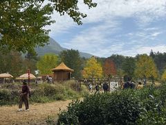 -塔川景区