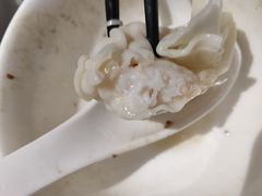 -南枝记