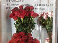 -ROSEONLY诺誓(国际广场购物中心店)