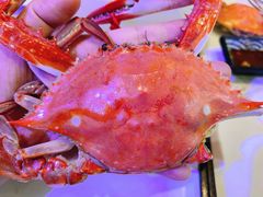 -半岛听涛蒸汽海鲜自助(K11店)