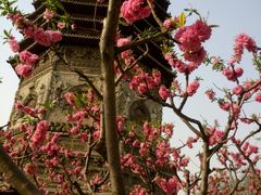 -玲珑塔公园