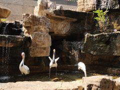 -优品汇生活广场