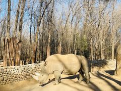 -北京野生动物园