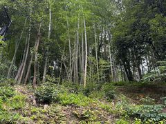 -韶山毛泽东同志故居