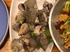 船夫海螺-即墨印象