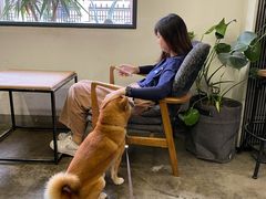 -研途咖啡馆(健康路店)