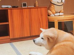 -大江户·温泉洗浴(浑南店)