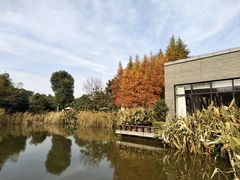 -天目湖涵田半山温泉