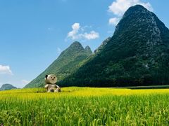 -万峰林风景区