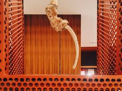 -二酉书店TOYOU BOOKS