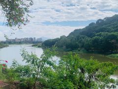 -风云岭森林公园