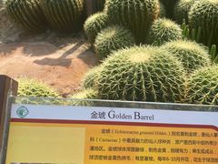 -华南国家植物园-售票处