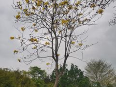 -叶挺将军纪念园