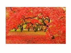 -泉乐坊步行街(烟酒特产平价超市店)