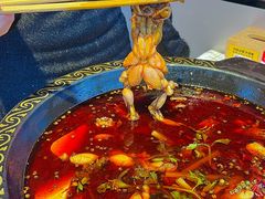 -蛙老爹·蜀香美蛙鱼头(王家湾店)