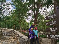 -阳台山自然风景区