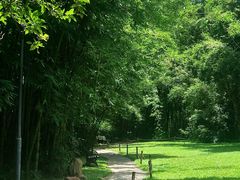 -深圳仙湖植物园