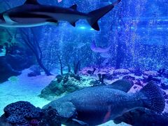 -沈阳海洋探索中心