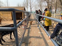 -长白岛森林公园