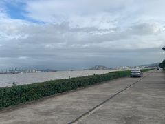 -海鸥岛