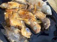 -小猫钓鱼海钓俱乐部(椰梦长廊店)