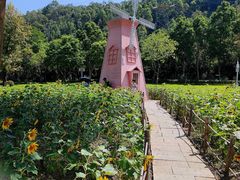 -顺峰山公园