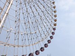 -凤凰欢乐大世界