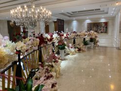 -禾丽康美医疗美容医院