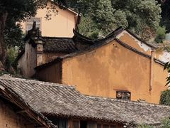 -杨家堂村