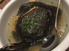 甲鱼-海天大酒店(湖滨路店)