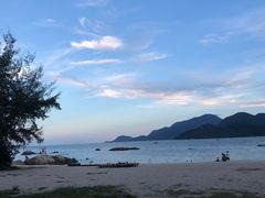 -花海间·即刻露营