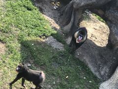 -南昌动物园