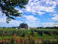 -安德鲁户外烧烤帐篷营地(马泉营店)