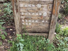 -帽儿山漂流
