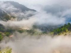 -紫鹊界梯田景区
