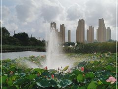 -前关湿地公园
