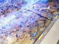 -77号渔船·蒸海鲜青岛菜(积米崖店)