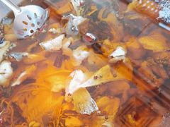 水煮鱼-鑫巴蜀川菜馆(昌平鼓楼店)
