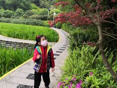 -龙头寺公园
