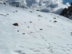 -祁连山·岗什卡雪峰景区