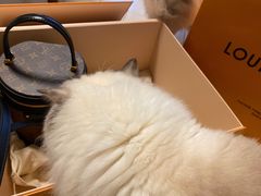 -LV路易威登(杭州万象城店)