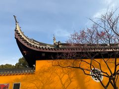 -无锡梅园公园