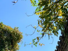 -老门东历史文化街区