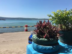 -花乐餐厅(涠洲岛店)