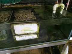 带子-钱大妈海鲜饭店(保利林语店)