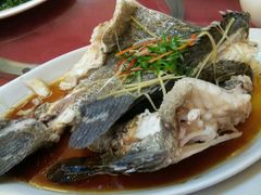 石斑鱼-金生美食(贵州路店)