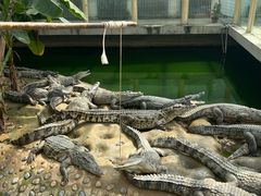 -石家庄市动物园