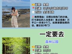 -日照海滨国家森林公园